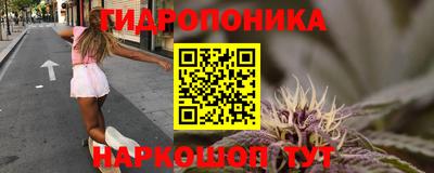 ALPHA PVP Пугачёв