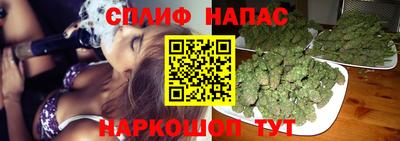 ALPHA PVP Пугачёв