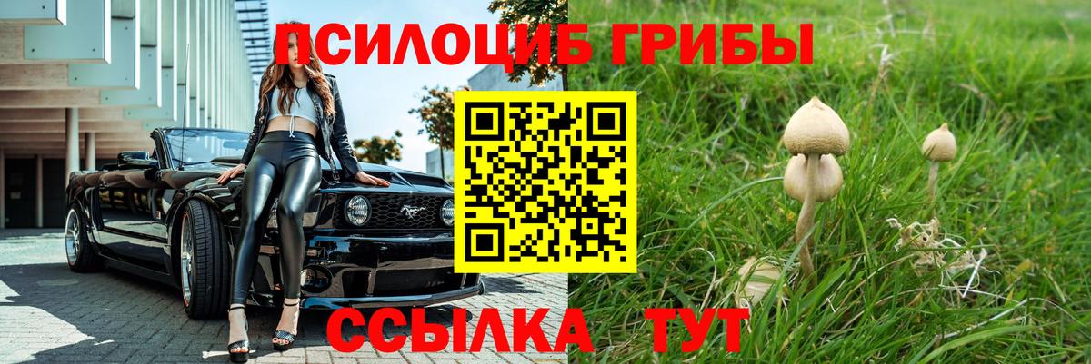Симферополь  Галлюциногенные грибы MAGIC MUSHROOMS  где купить наркоту  Вход с VPN 